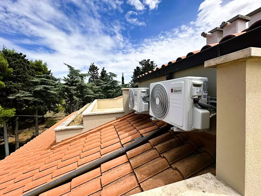 Immagine 8 di Appartamento in vendita  a Rosignano Marittimo