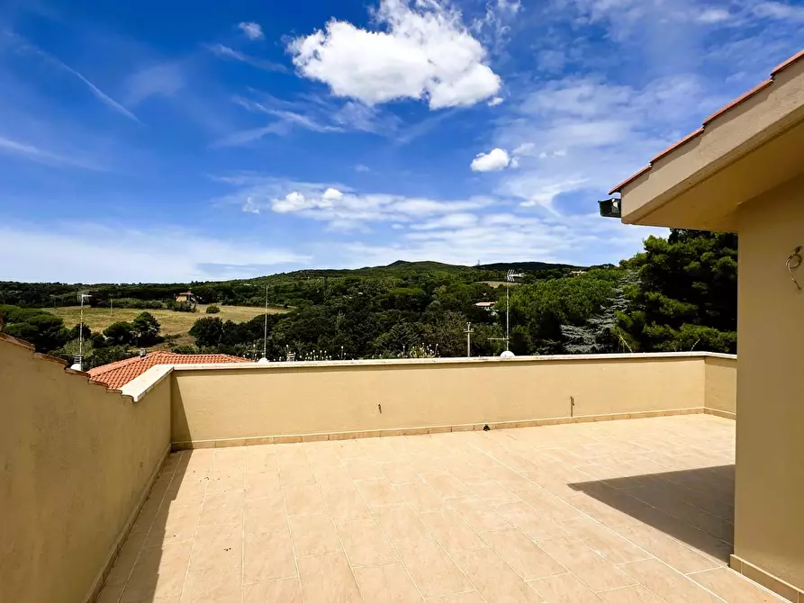 Immagine 7 di Appartamento in vendita  a Rosignano Marittimo