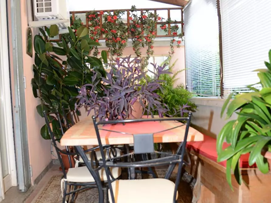 Immagine 17 di Villetta a schiera in vendita  a Vecchiano