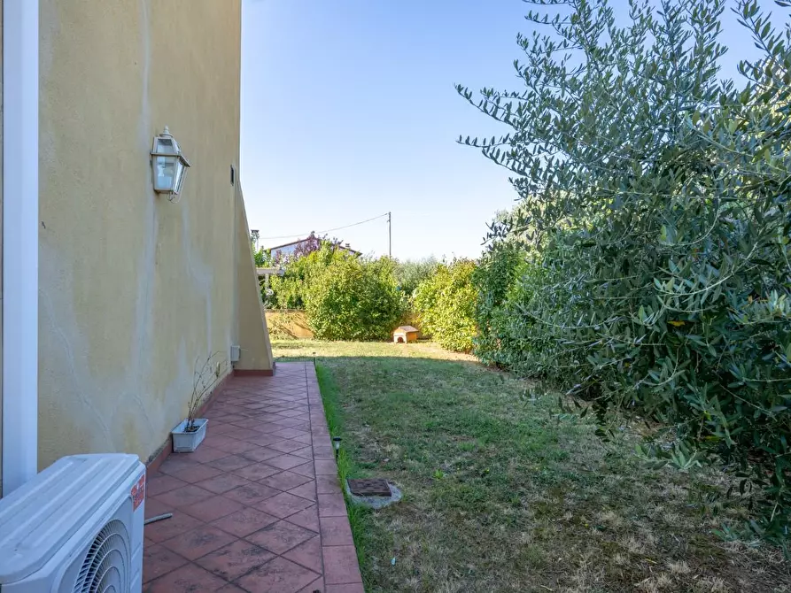 Immagine 35 di Appartamento in vendita  a Pontedera