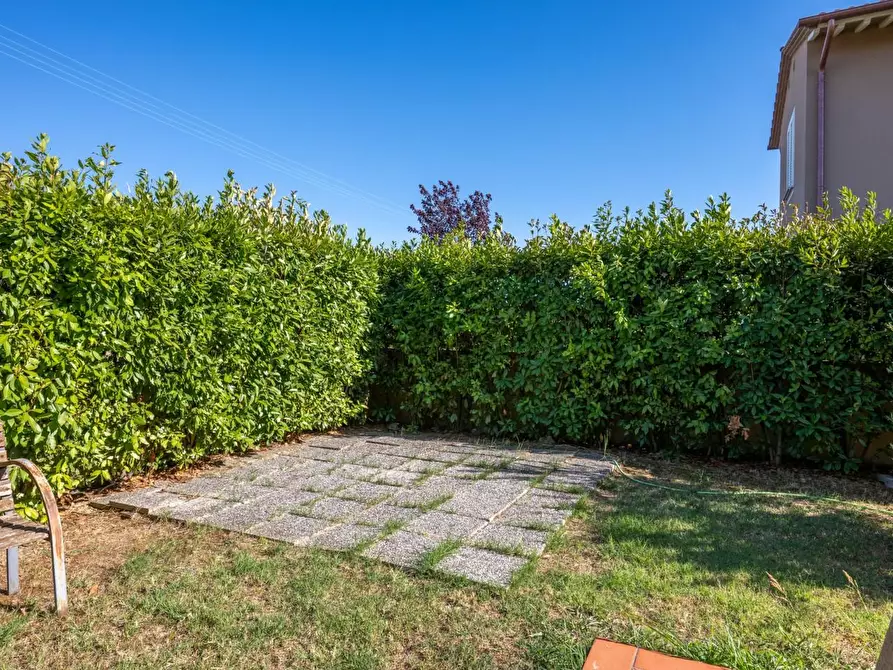 Immagine 36 di Appartamento in vendita  a Pontedera