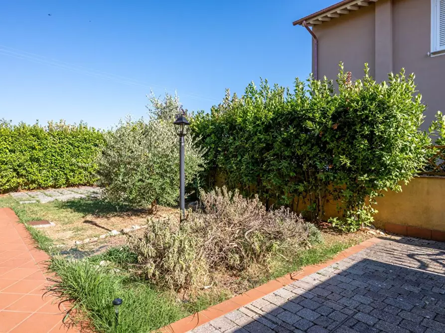 Immagine 5 di Appartamento in vendita  a Pontedera