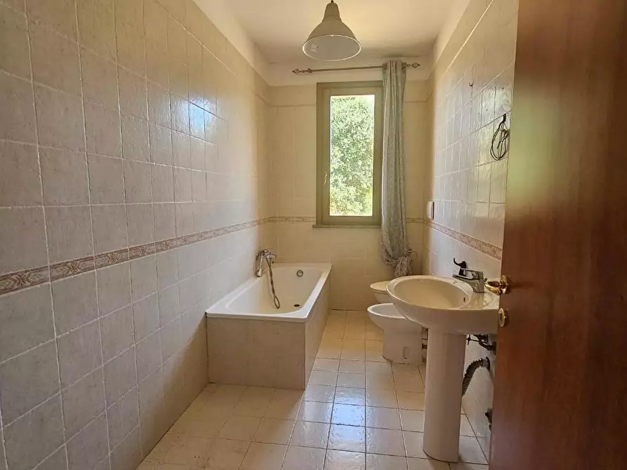 Immagine 22 di Casa bifamiliare in vendita  a Collesalvetti