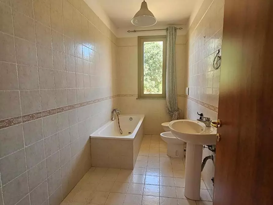 Immagine 23 di Casa bifamiliare in vendita  a Collesalvetti