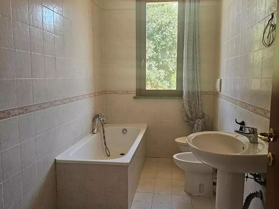 Immagine 24 di Casa bifamiliare in vendita  a Collesalvetti