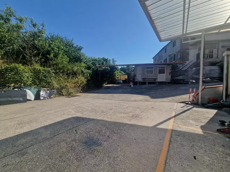 Immagine 8 di Attività artigianale in vendita  a Carrara