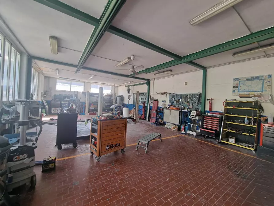 Immagine 7 di Attività artigianale in vendita  a Carrara