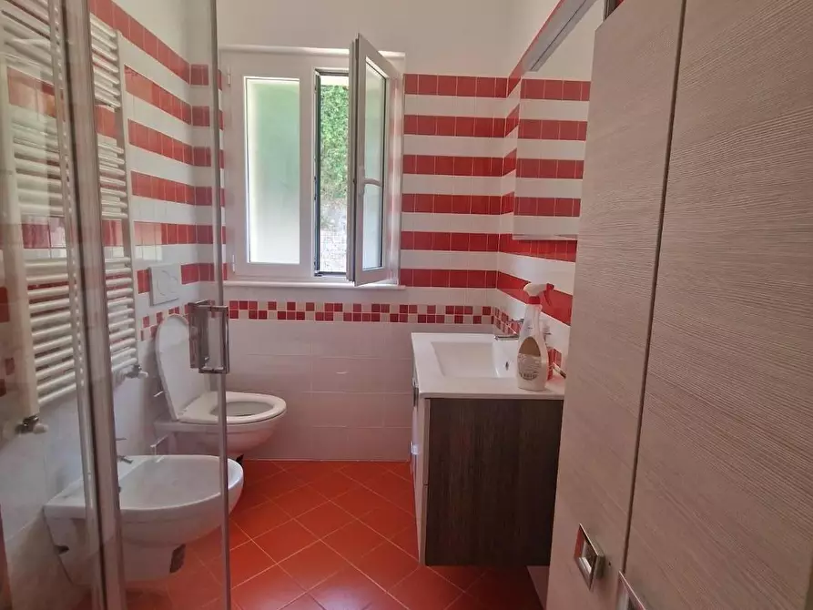 Immagine 10 di Attività artigianale in vendita  a Carrara