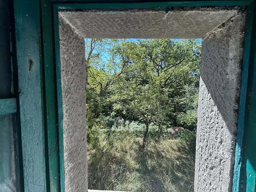 Immagine 13 di Casa indipendente in vendita  a Fivizzano