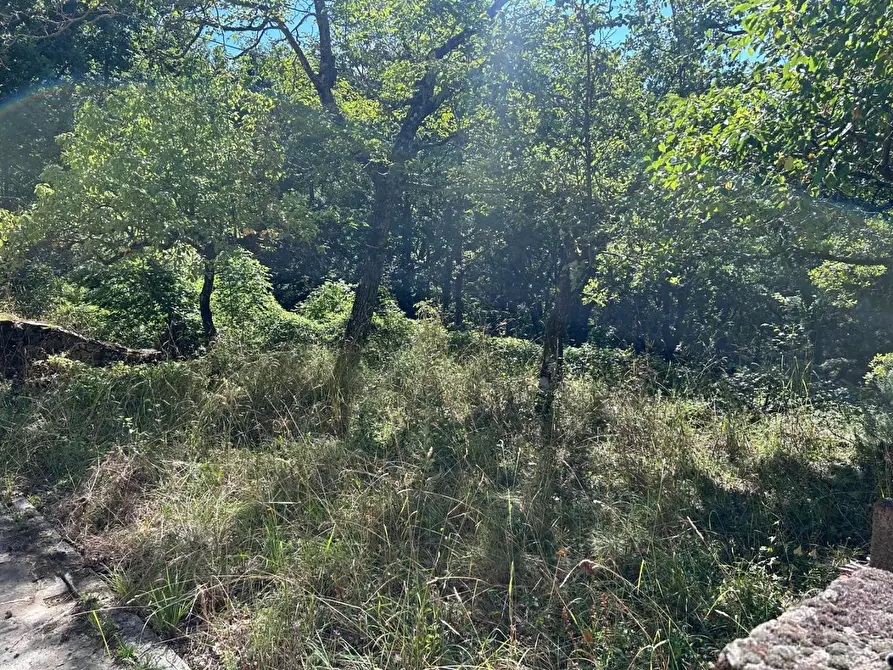 Immagine 2 di Casa indipendente in vendita  a Fivizzano