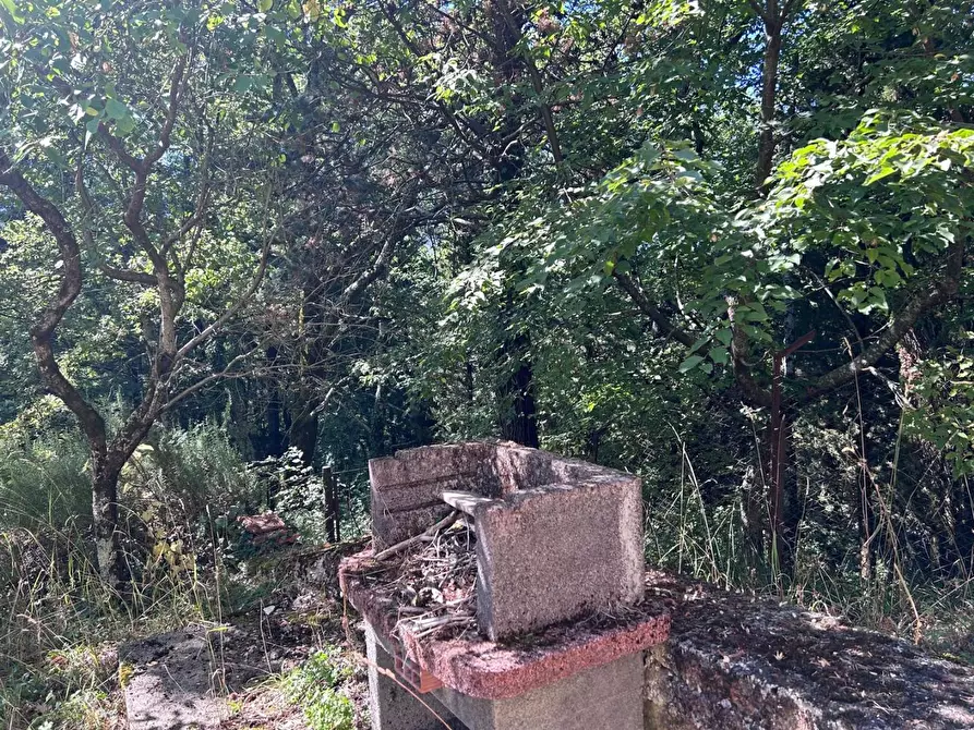 Immagine 16 di Casa indipendente in vendita  a Fivizzano