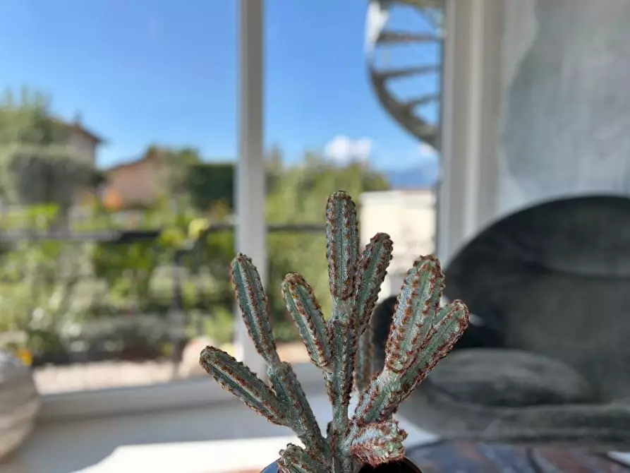 Immagine 11 di Casa bifamiliare in vendita  a Camaiore