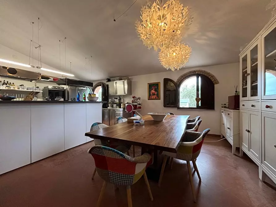 Immagine 18 di Casa colonica in vendita  a Chianni