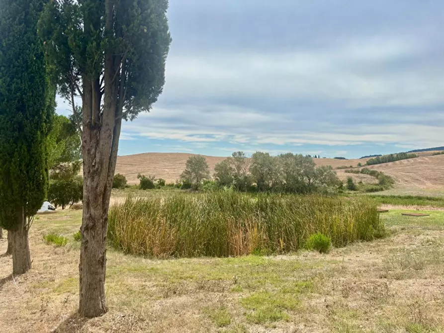 Immagine 8 di Casa colonica in vendita  a Chianni