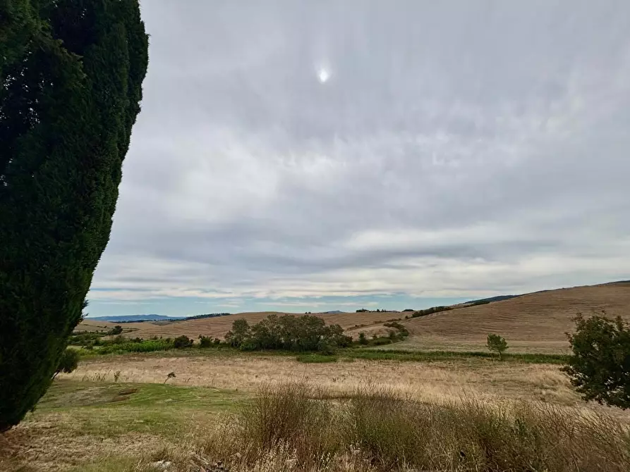 Immagine 12 di Casa colonica in vendita  a Chianni