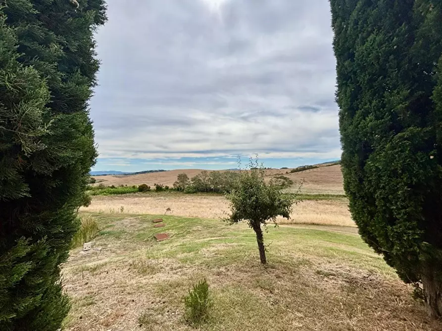 Immagine 13 di Casa colonica in vendita  a Chianni