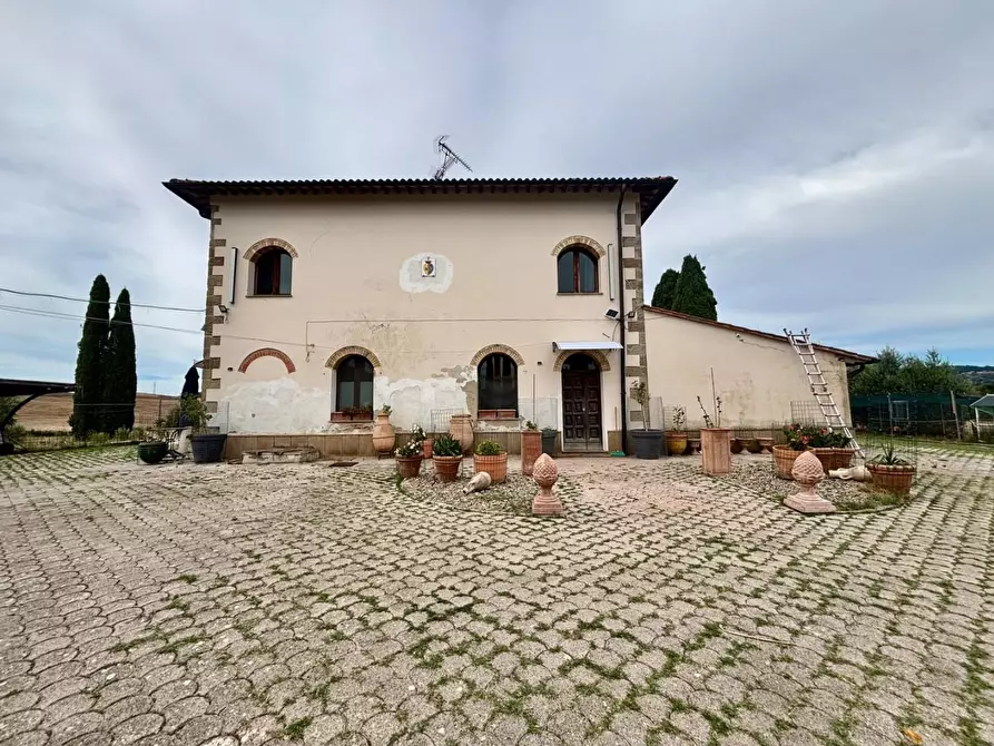 Immagine 4 di Casa colonica in vendita  a Chianni