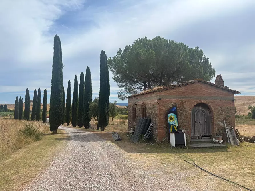 Immagine 5 di Casa colonica in vendita  a Chianni