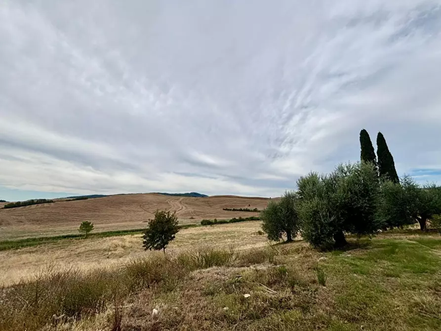 Immagine 15 di Casa colonica in vendita  a Chianni