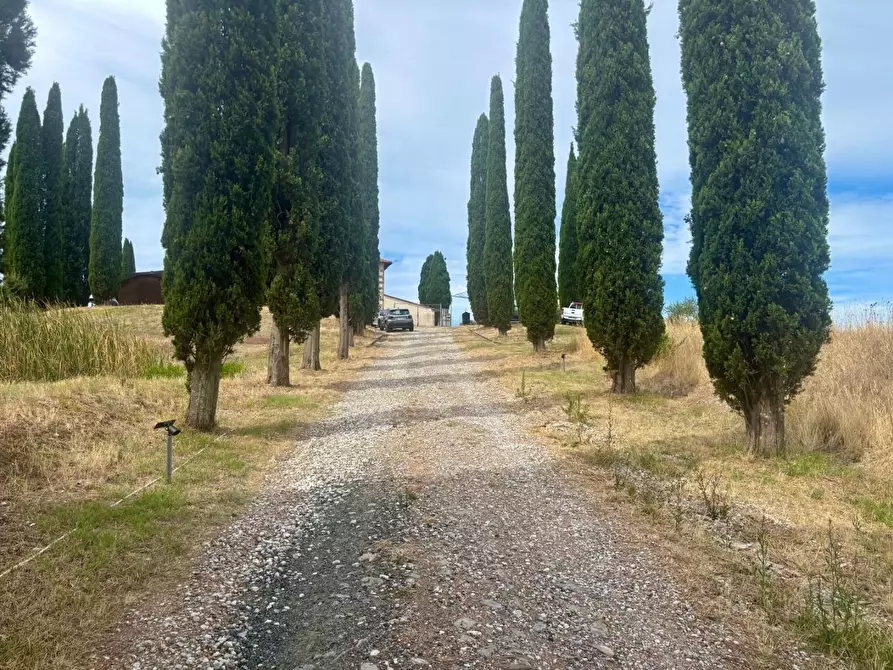 Immagine 7 di Casa colonica in vendita  a Chianni