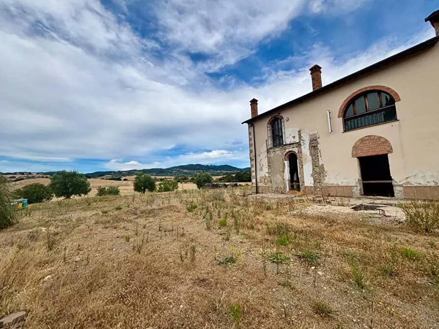 Immagine 3 di Casa colonica in vendita  a Chianni