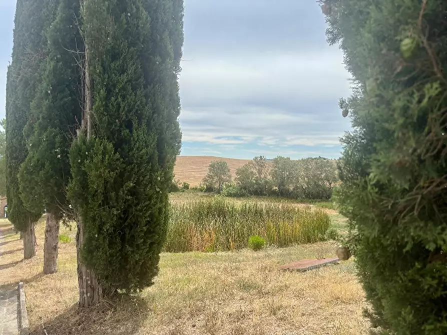 Immagine 10 di Casa colonica in vendita  a Chianni