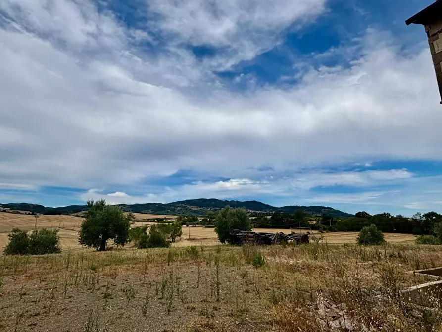 Immagine 11 di Casa colonica in vendita  a Chianni