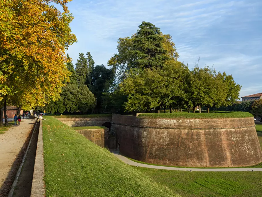 Immagine 9 di Locale commerciale in vendita  a Lucca