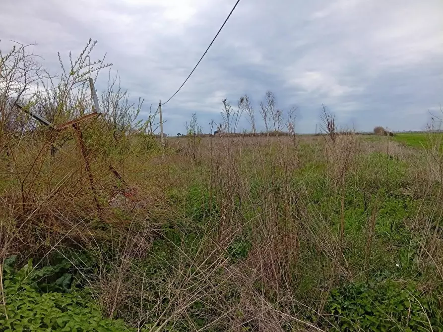 Immagine 4 di Villa in vendita  a Cascina