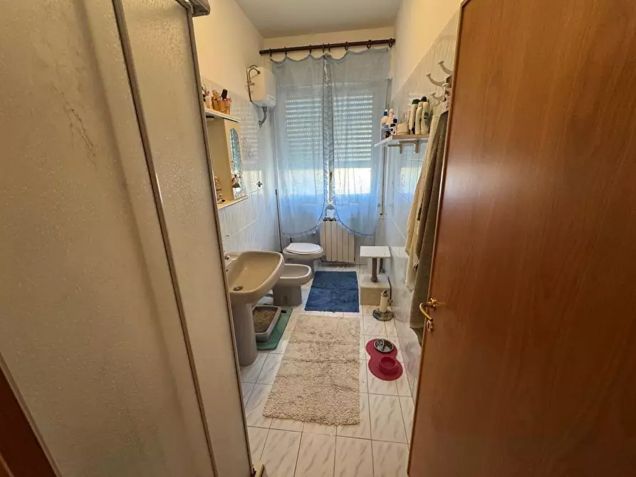 Immagine 10 di Appartamento in vendita  a Rosignano Marittimo