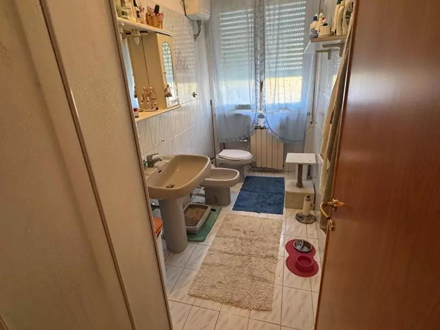 Immagine 9 di Appartamento in vendita  a Rosignano Marittimo