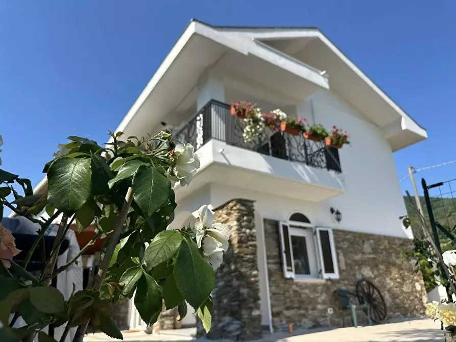 Immagine 1 di Villa in vendita  a Ameglia