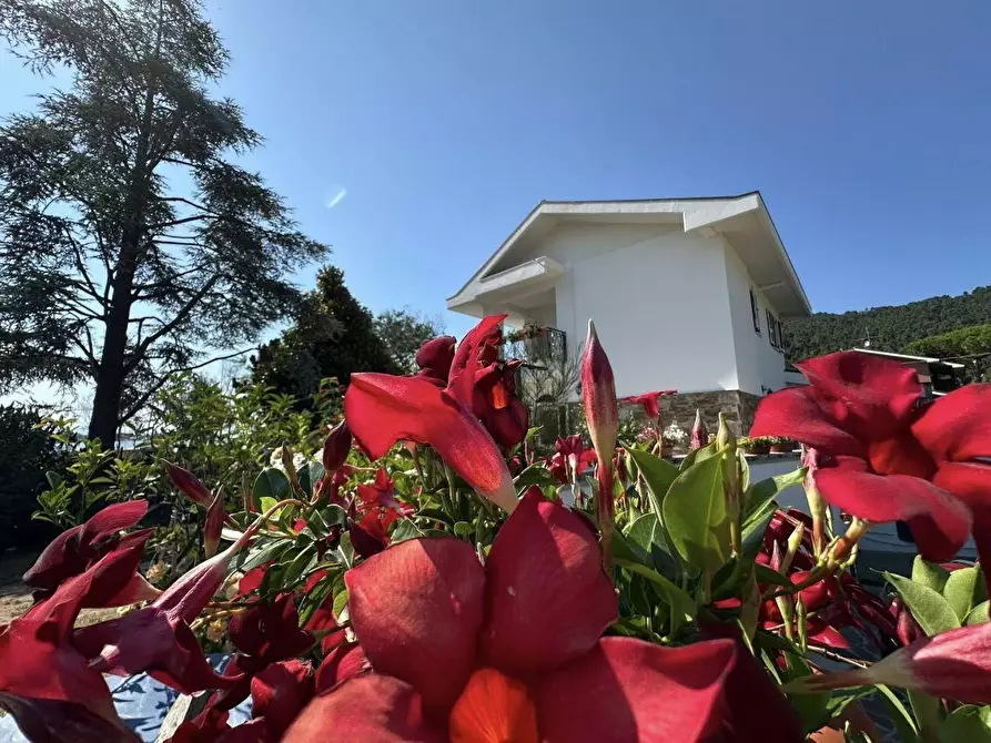 Immagine 7 di Villa in vendita  a Ameglia