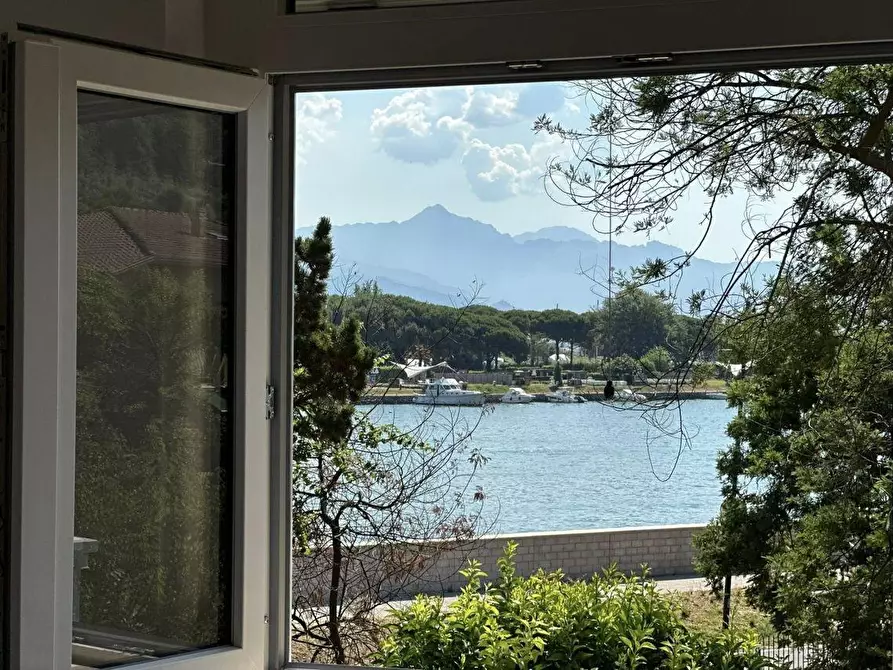 Immagine 31 di Villa in vendita  a Ameglia