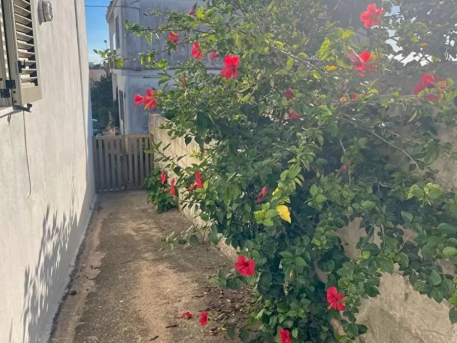 Immagine 9 di Casa indipendente in vendita  a Morciano Di Leuca