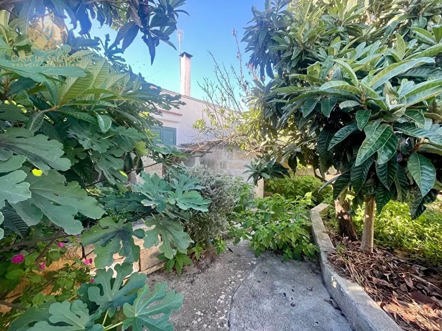 Immagine 15 di Casa indipendente in vendita  a Morciano Di Leuca