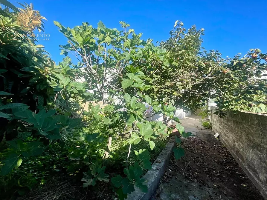Immagine 16 di Casa indipendente in vendita  a Morciano Di Leuca