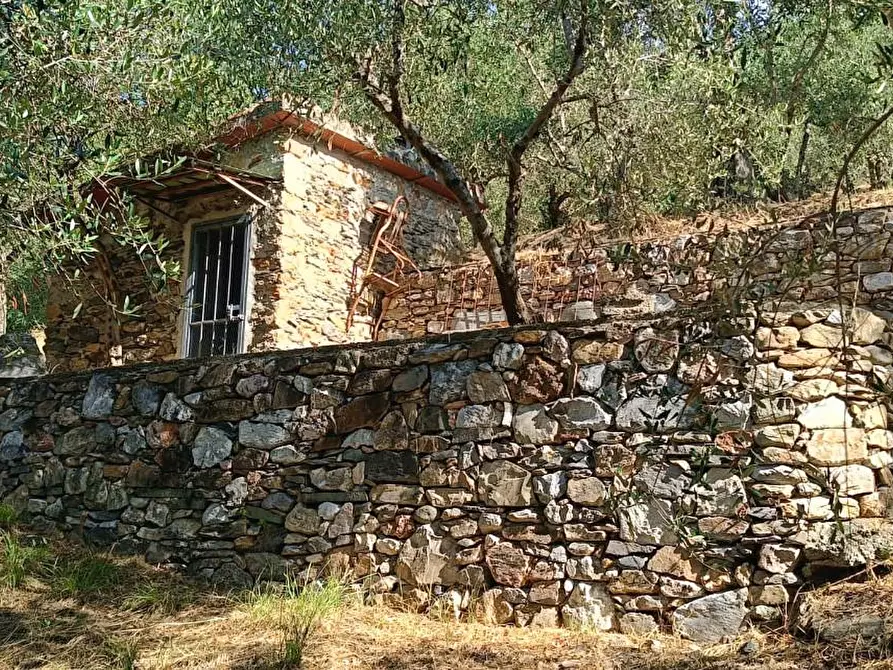 Immagine 18 di Terreno agricolo in vendita  a Calci