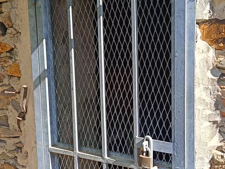 Immagine 17 di Terreno agricolo in vendita  a Calci