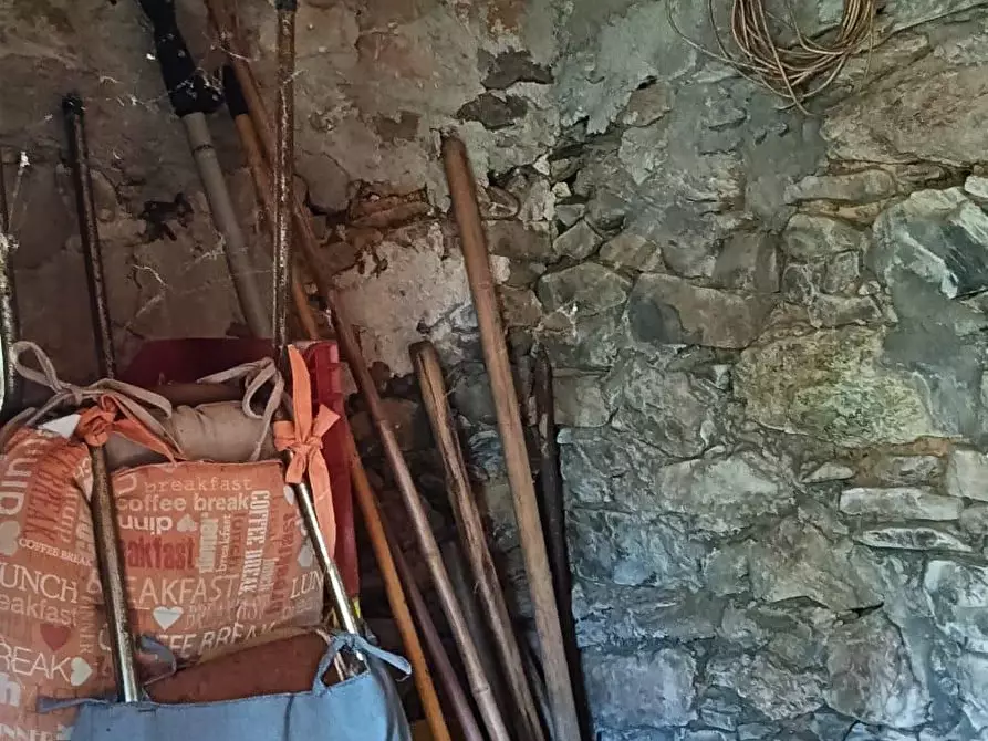 Immagine 15 di Terreno agricolo in vendita  a Calci