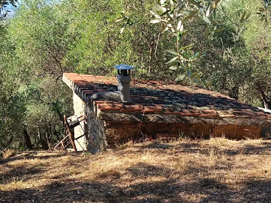 Immagine 7 di Terreno agricolo in vendita  a Calci