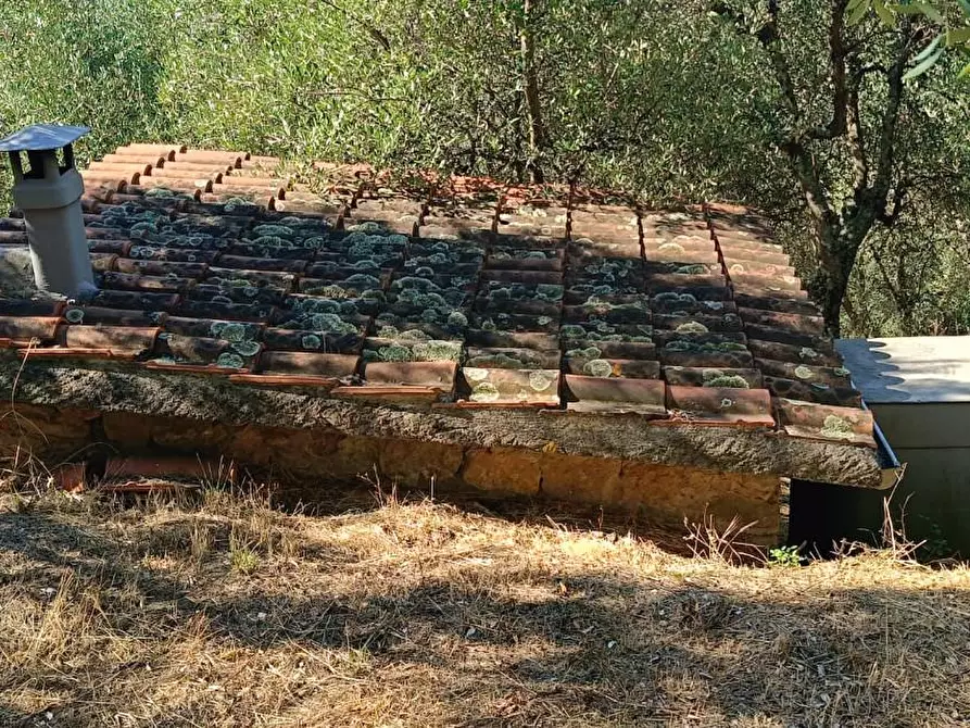 Immagine 8 di Terreno agricolo in vendita  a Calci