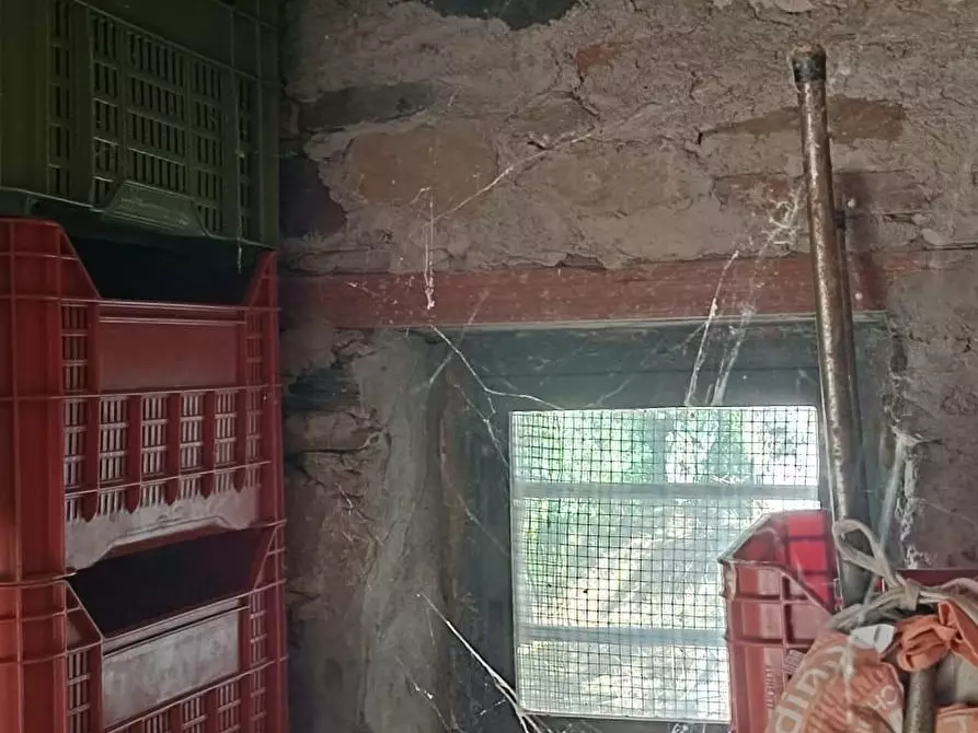 Immagine 14 di Terreno agricolo in vendita  a Calci