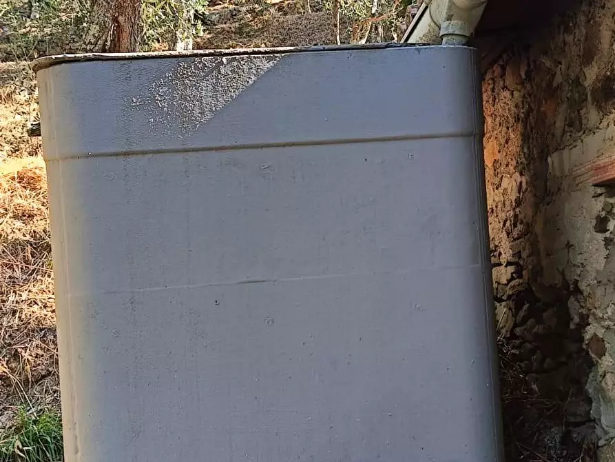 Immagine 13 di Terreno agricolo in vendita  a Calci