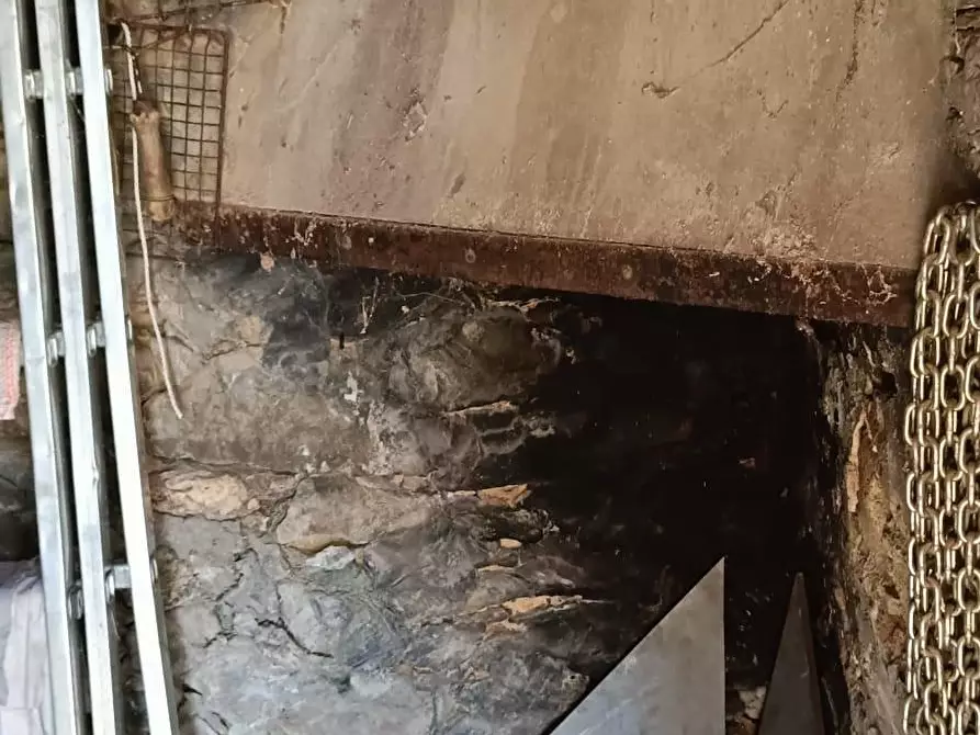 Immagine 16 di Terreno agricolo in vendita  a Calci