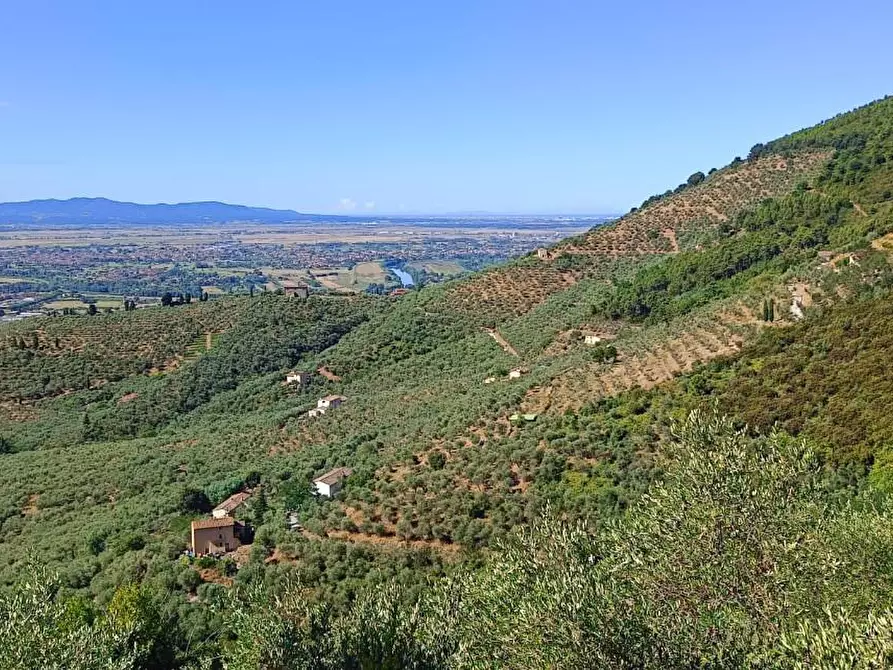 Immagine 2 di Terreno agricolo in vendita  a Calci
