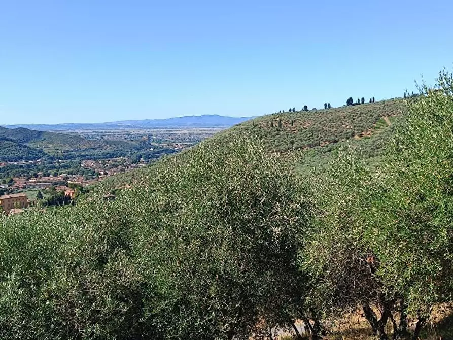 casa indipendente in vendita a Calci in zona Villa