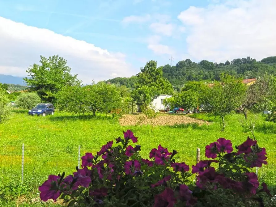 Immagine 39 di Casa colonica in vendita  a Filattiera