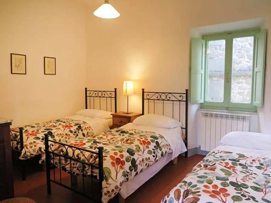 Immagine 47 di Casa colonica in vendita  a Filattiera