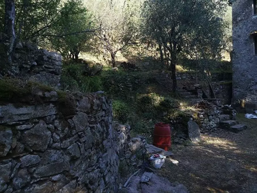 Immagine 2 di Casa indipendente in vendita  a Buti